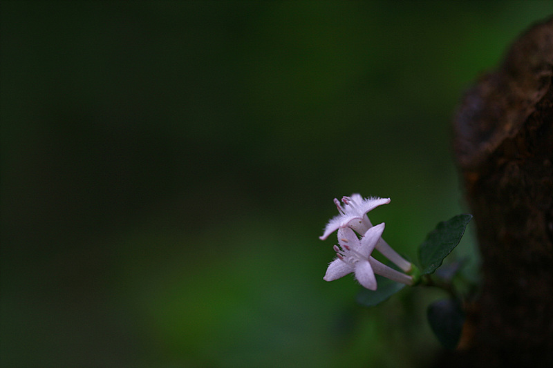 2010.06.20 271.jpg