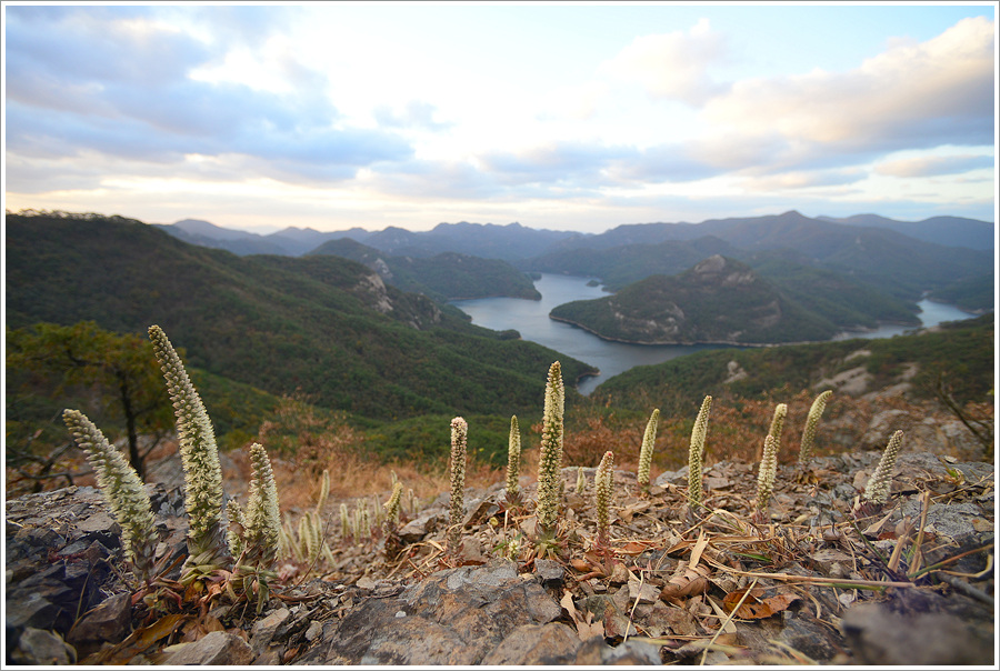 PH0_8211-002.jpg