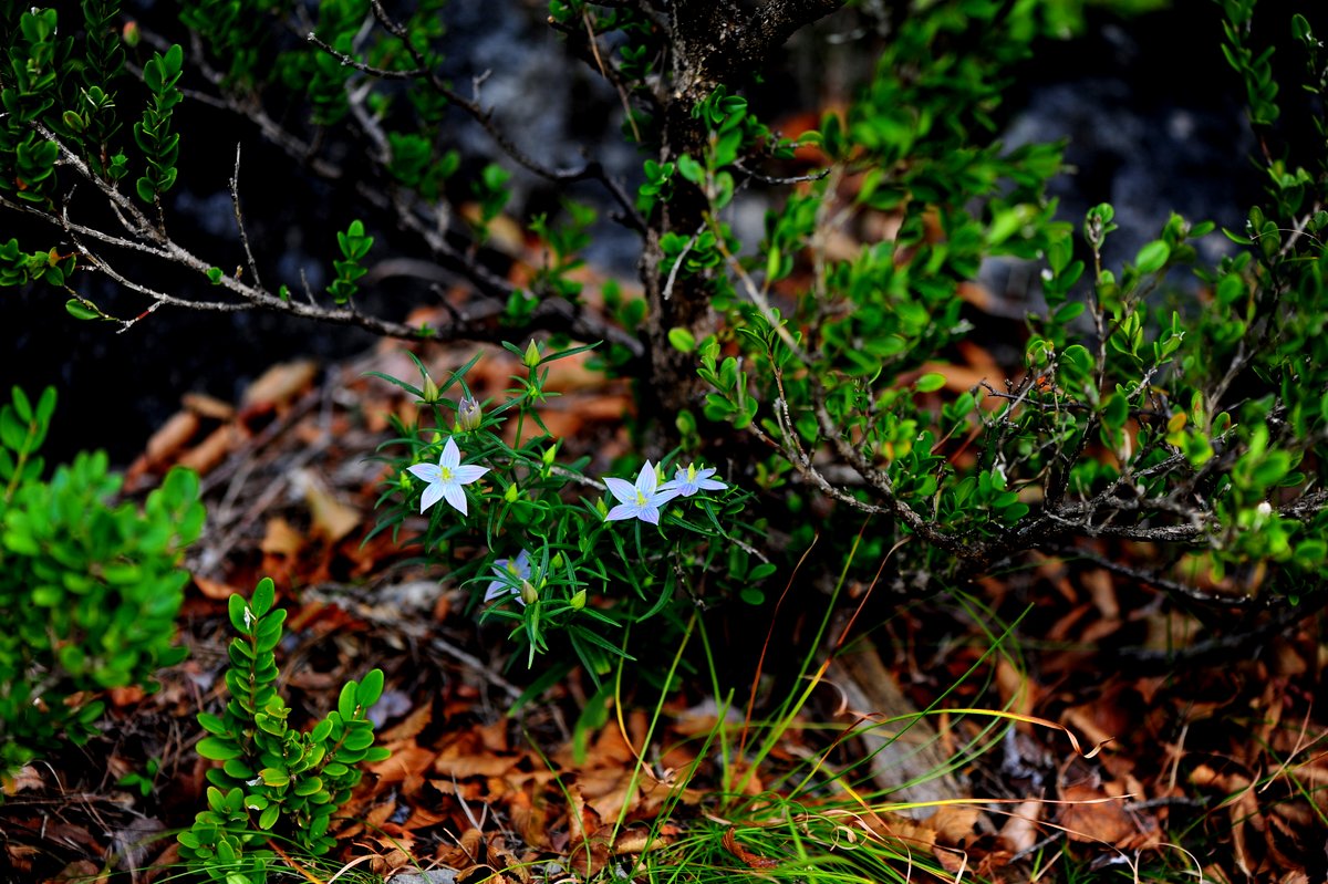 DSC_7561.JPG