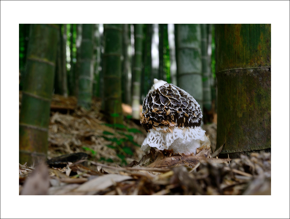 DSC_8380.jpg