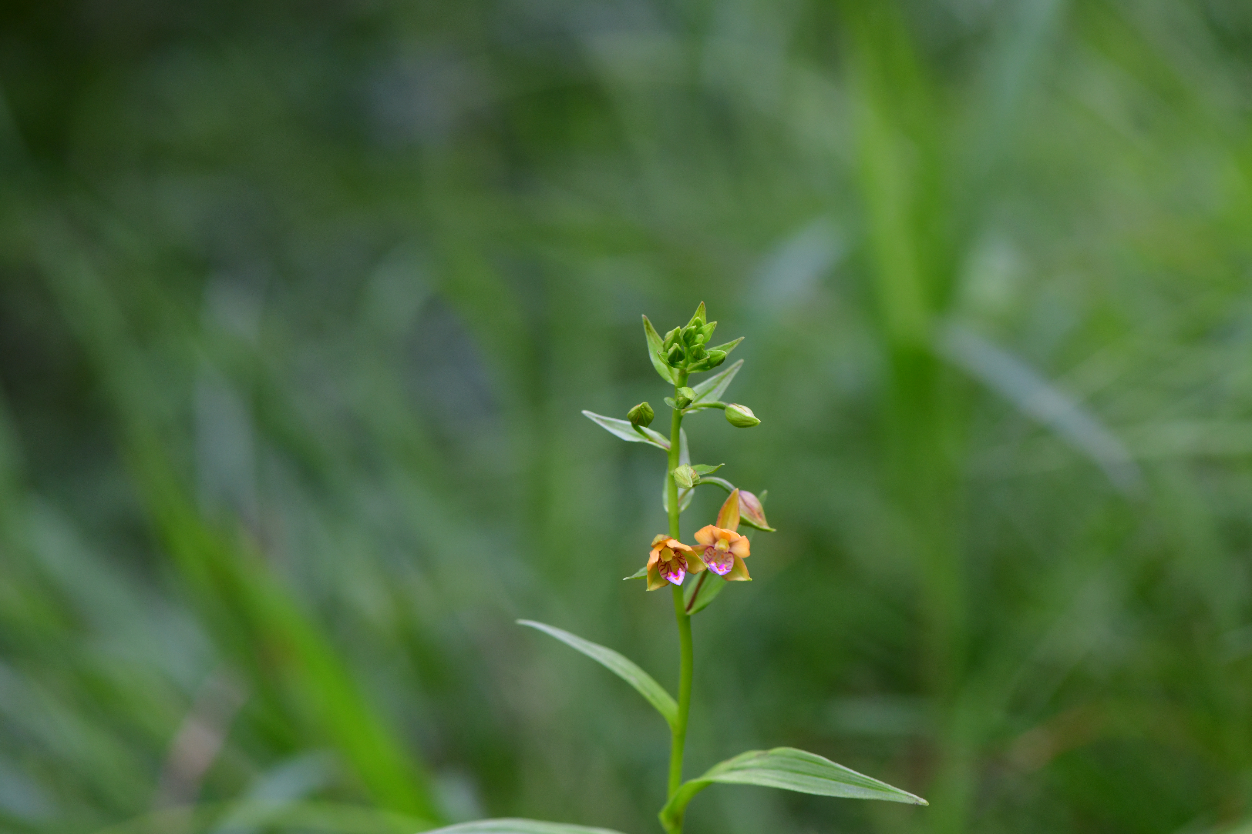 DSC_9860.JPG