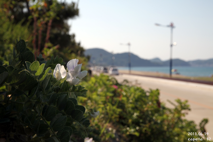 0619-4-2.jpg