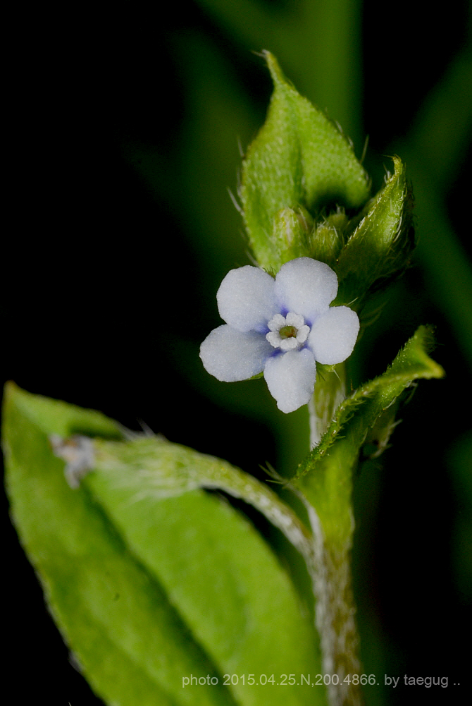 m_DSC4866.JPG