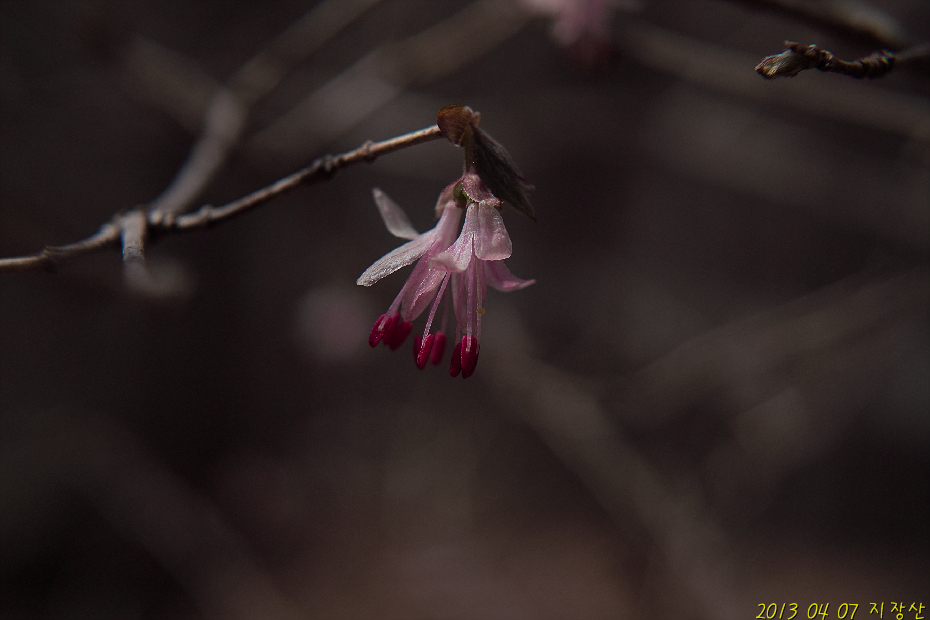 SDIM0300nn.jpg