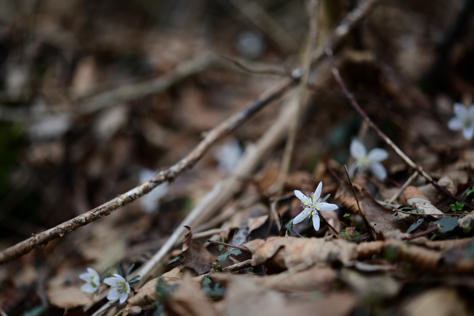 크기변환_DSC_3292.JPG