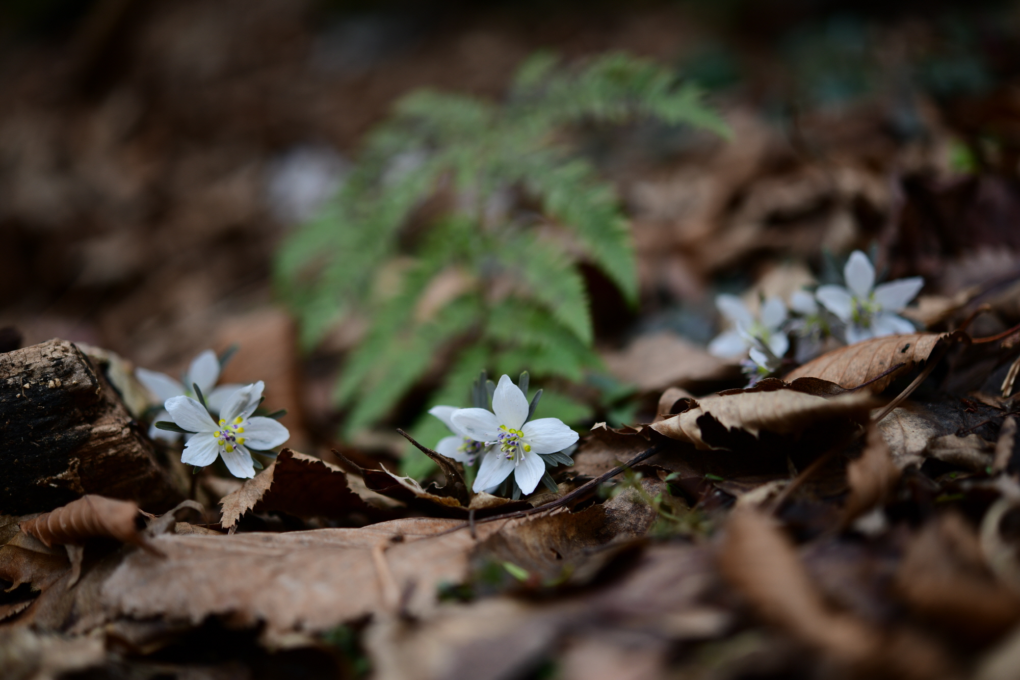 크기변환_DSC_3306.JPG