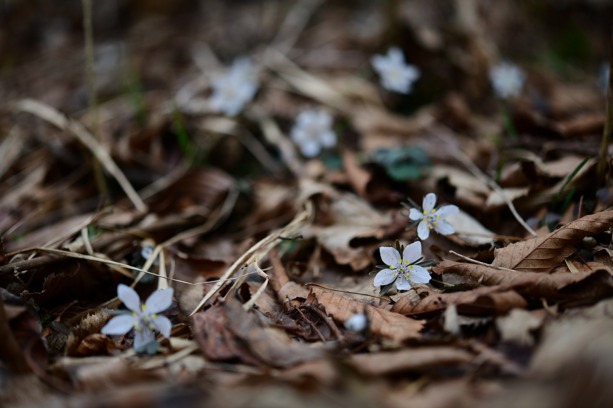 크기변환_DSC_3268.JPG