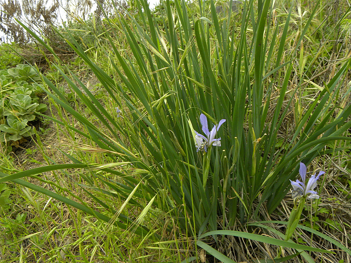 DSCN2071.jpg