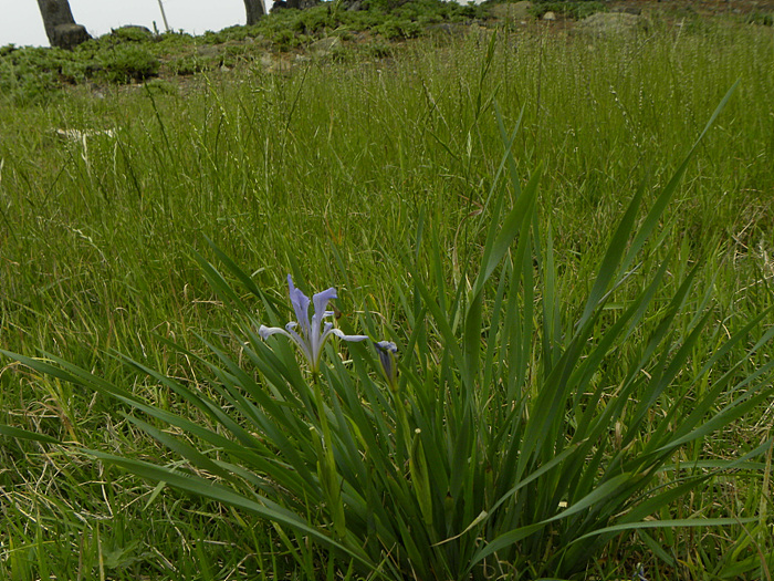 DSCN2023.jpg