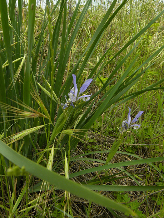 DSCN2070.jpg