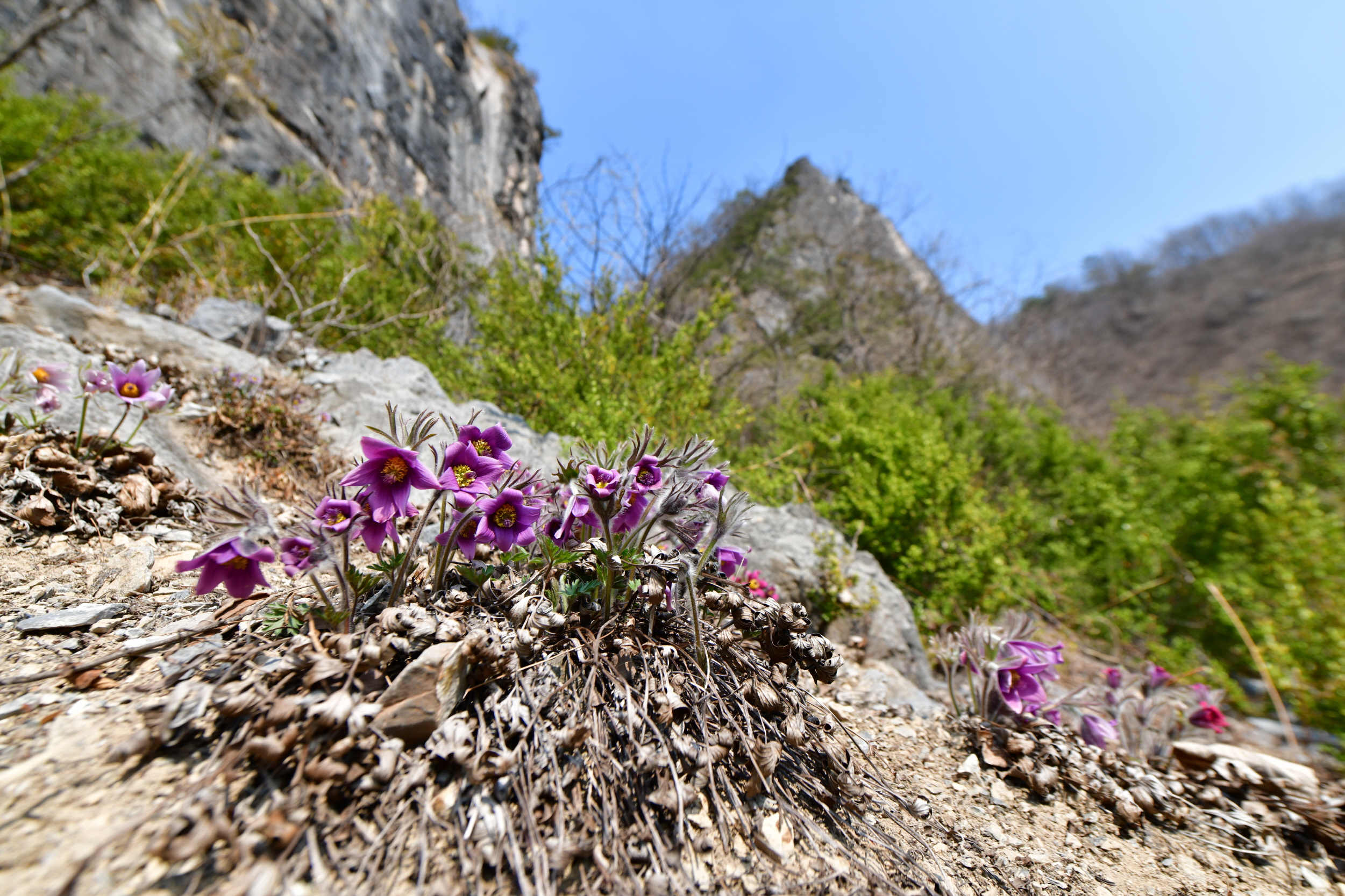 [크기변환]DSC_2335.JPG