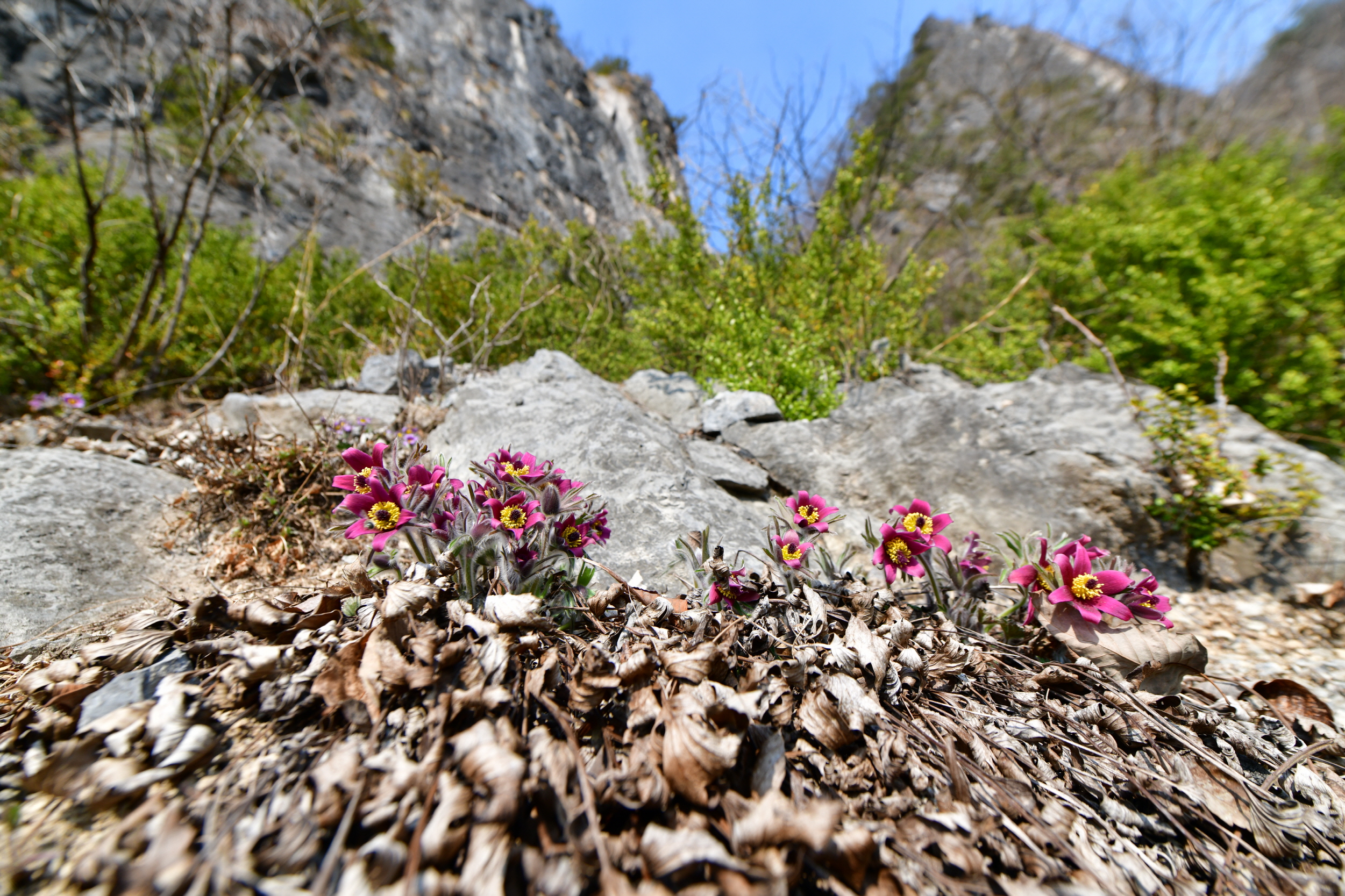 [크기변환]DSC_2345.JPG