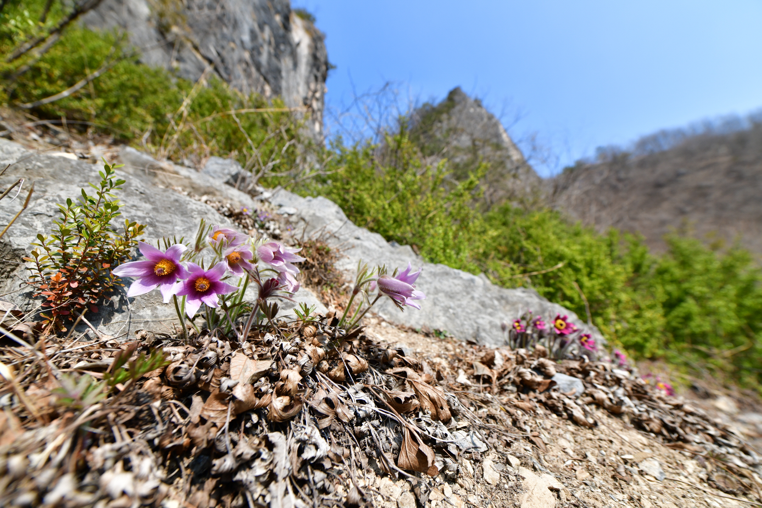 [크기변환]DSC_2359.JPG