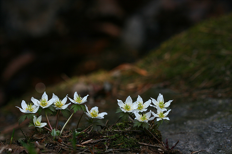 090501 190a.jpg