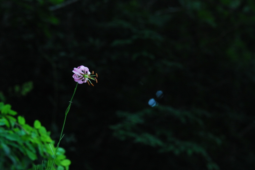 크기변환_DSC_4700[1].jpg