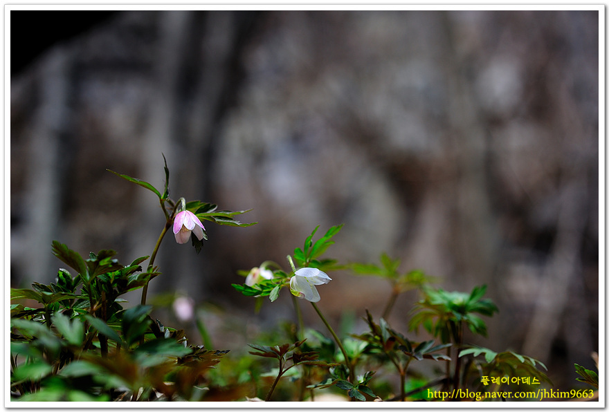 DSC_1282.jpg