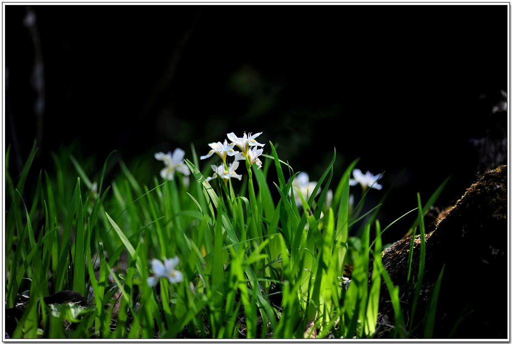 DSC_2314.jpg