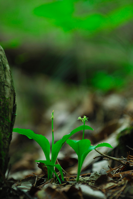 DSC_8714-1.jpg