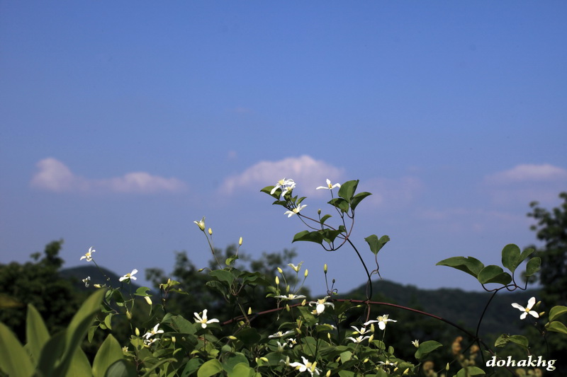 DPP_00052.jpg