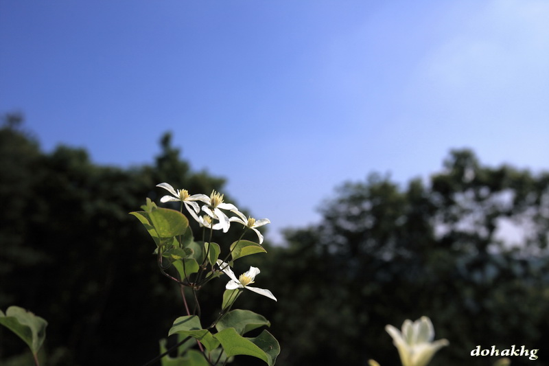 DPP_00037.jpg