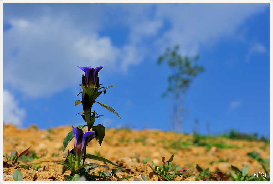 DSC_0917.jpg