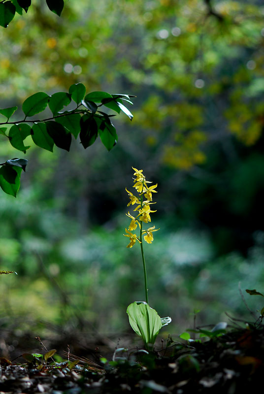 DSC_0509-1.jpg
