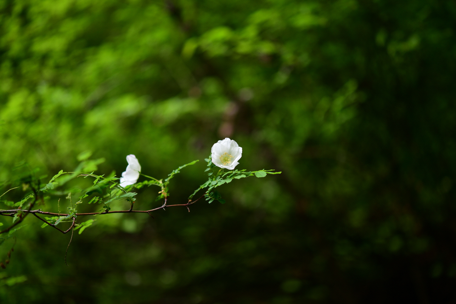 크기변환_DSC_0913.JPG