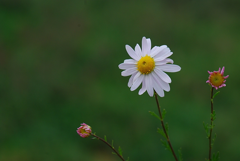 02090924_144.JPG