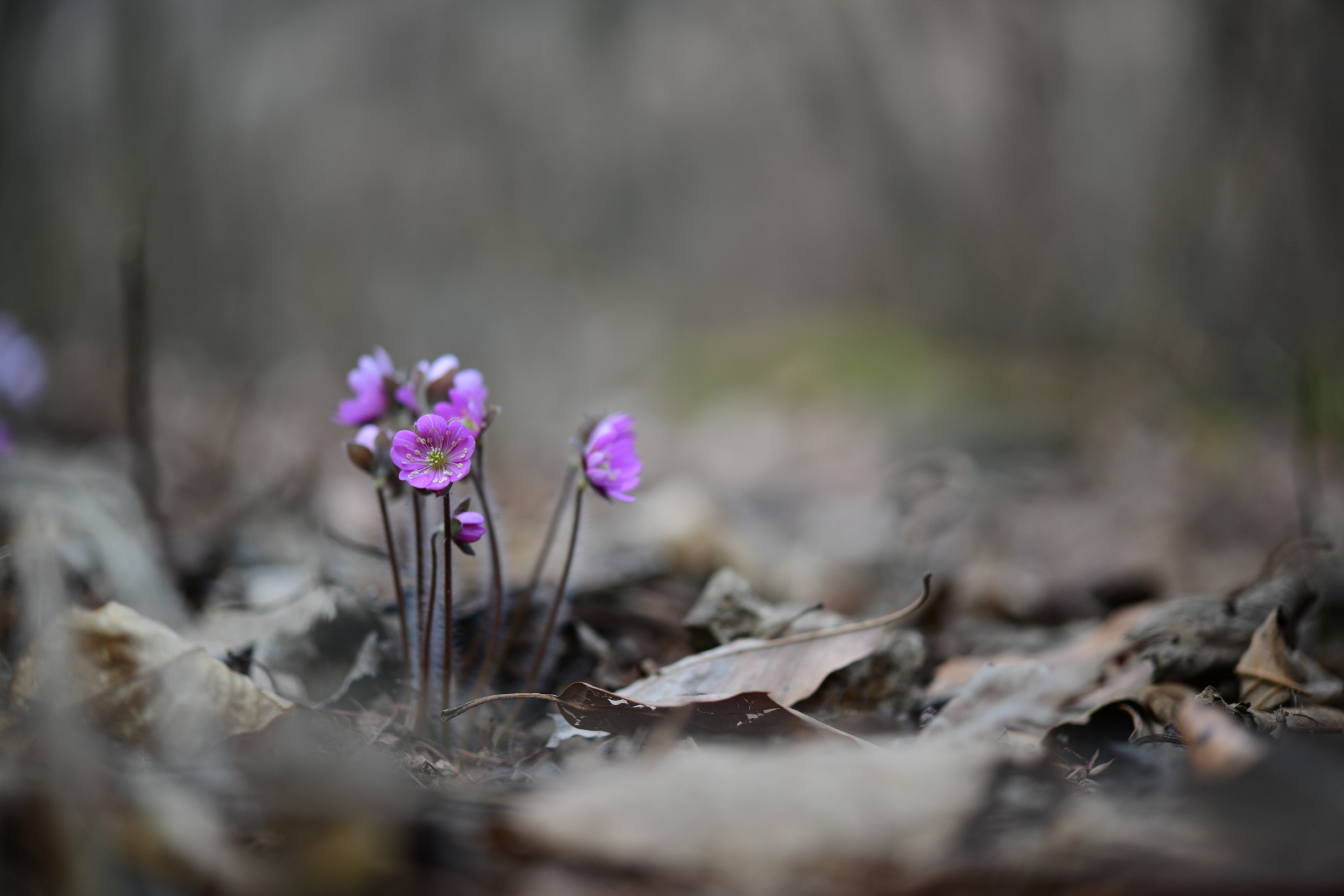 크기변환_DSC_9039.JPG