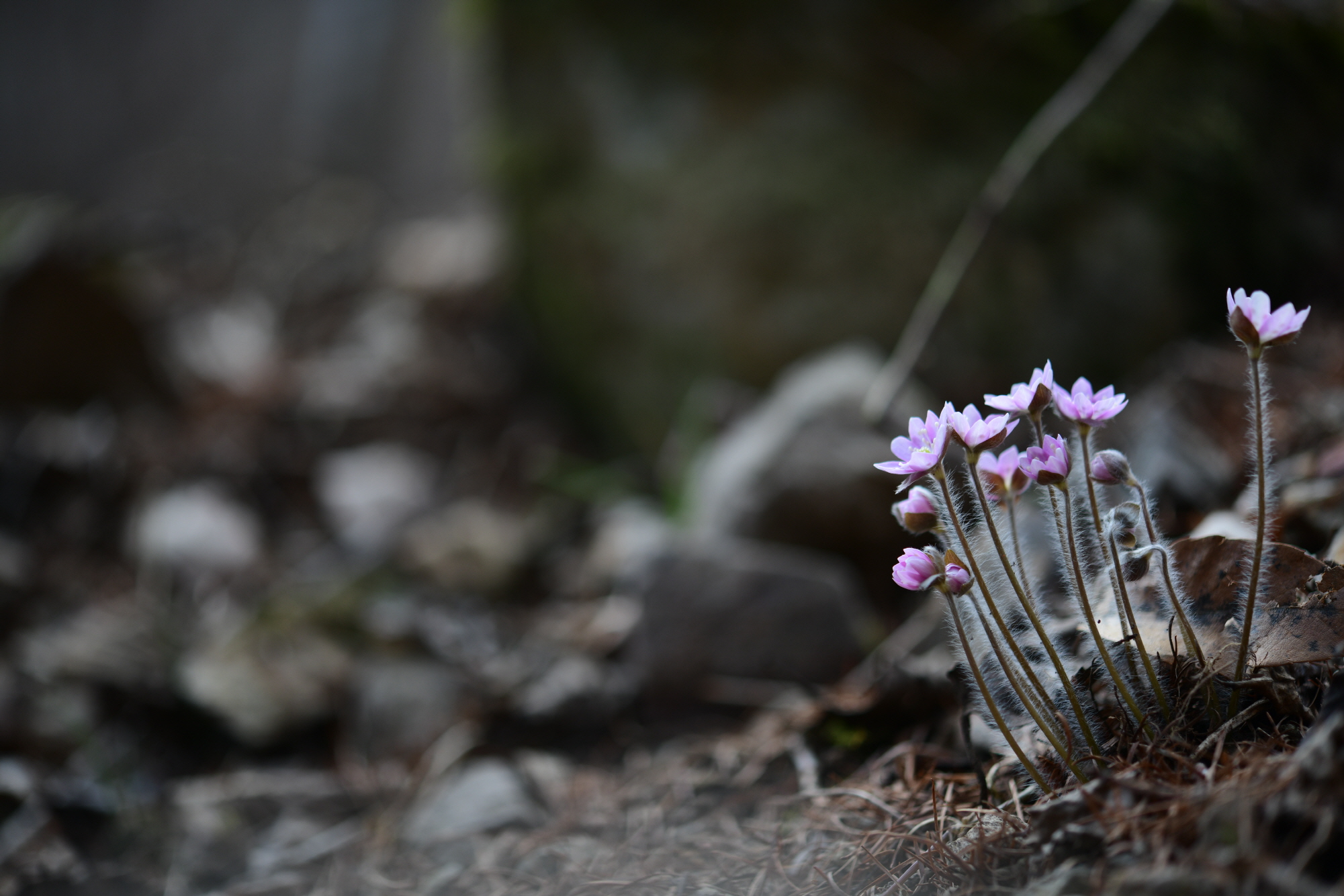 크기변환_DSC_8985.JPG