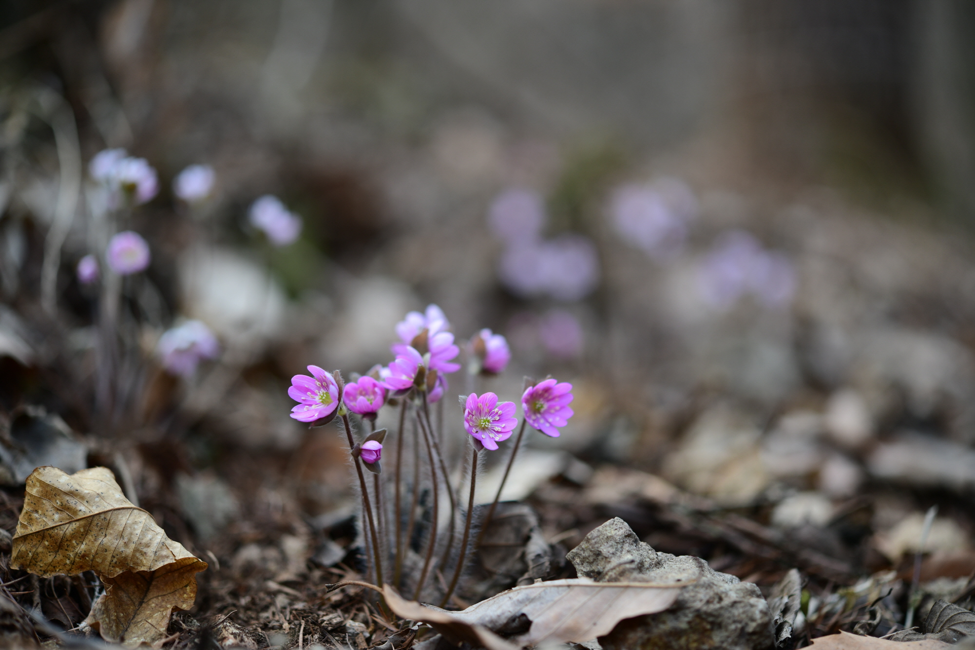 크기변환_DSC_9046.JPG