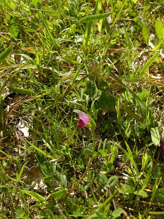 사진 089.jpg