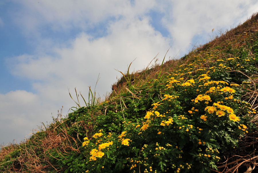 20111030_0042-1.jpg