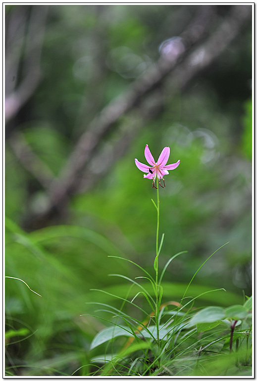 1-DSC_6346.jpg