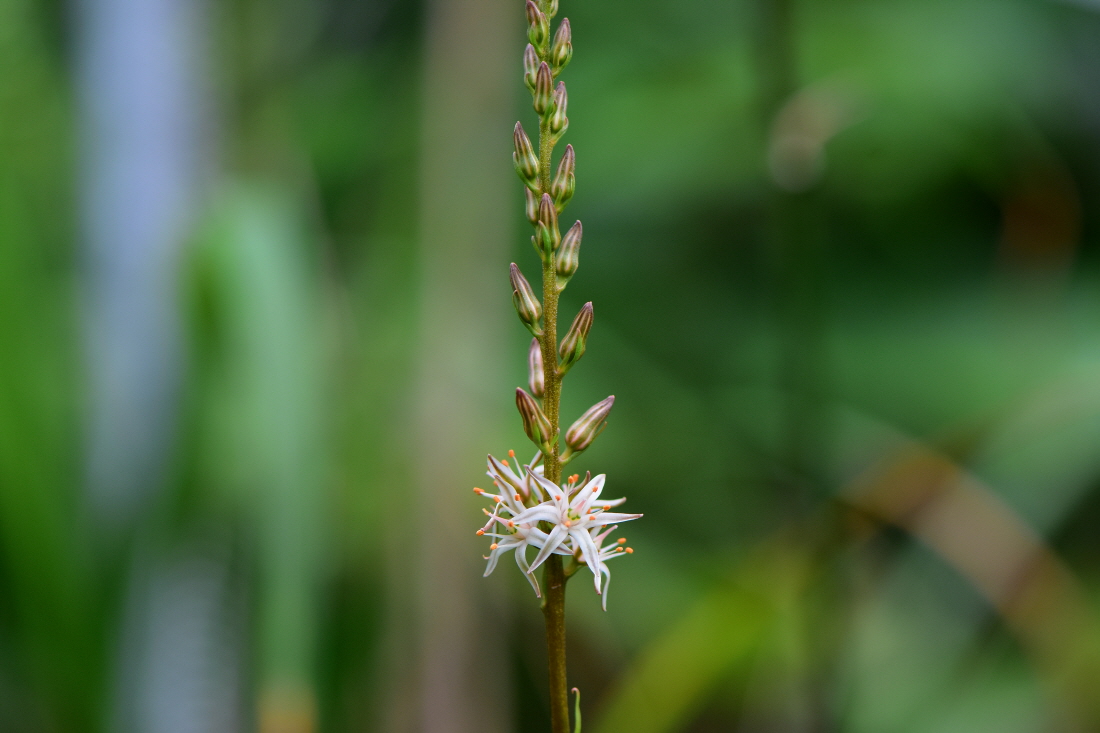 DSC_9321.JPG