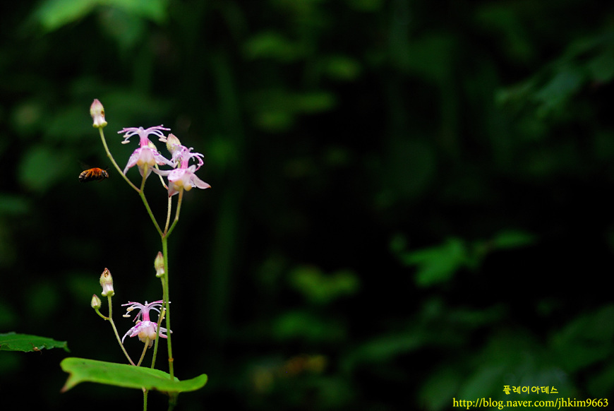 DSC_6548.jpg