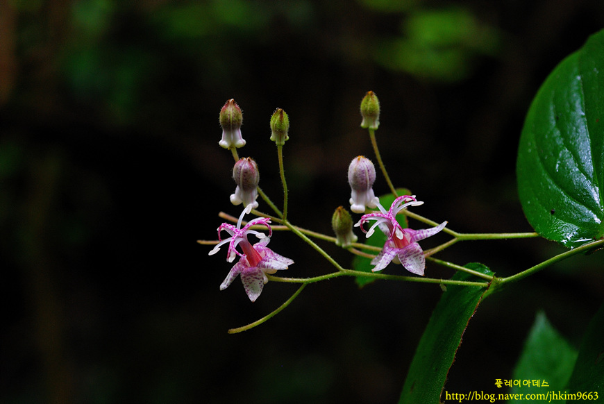 DSC_6469.jpg