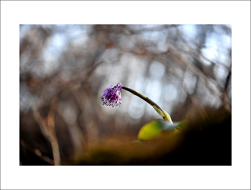 DSC_0609.jpg