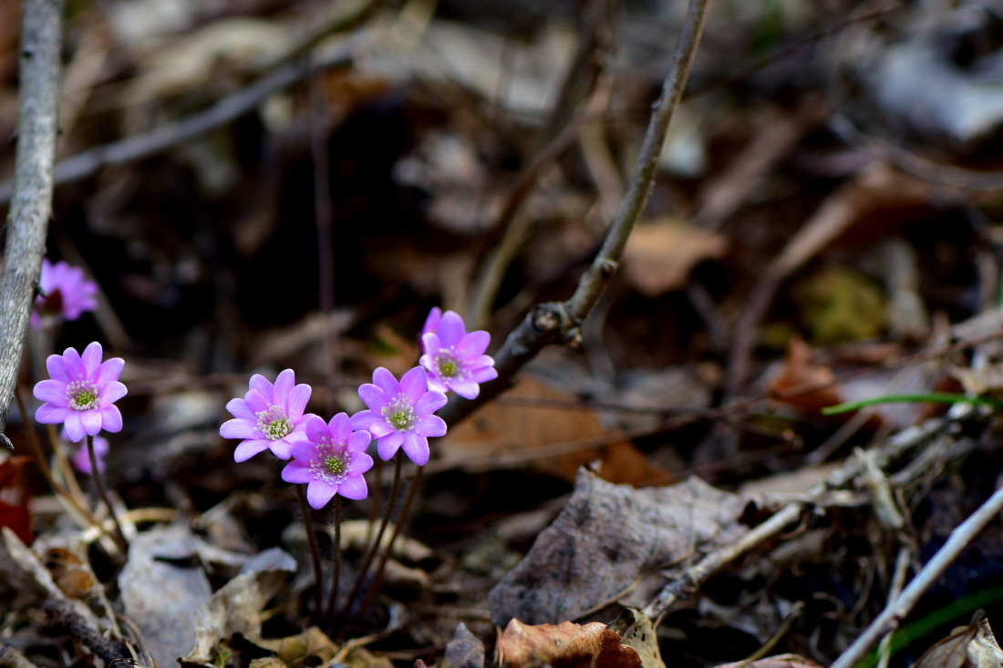 DSC_9428.JPG
