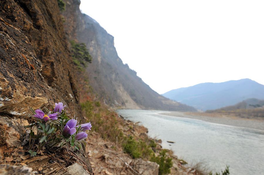 20110410_0021-1.jpg