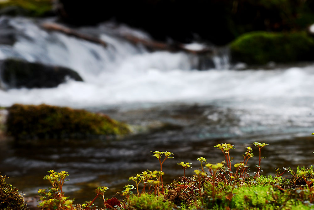 DSC_0373-2.jpg
