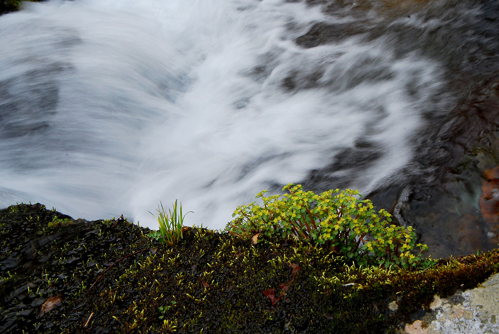 DSC_0342-2.jpg
