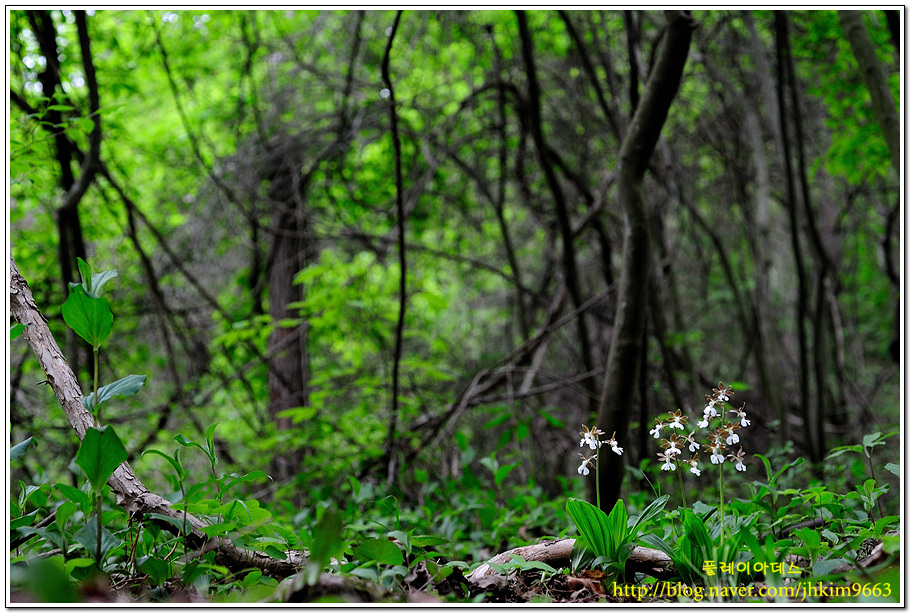 DSC_0607.jpg