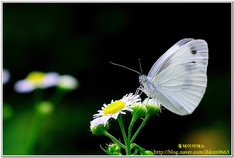 DSC_3149a.jpg