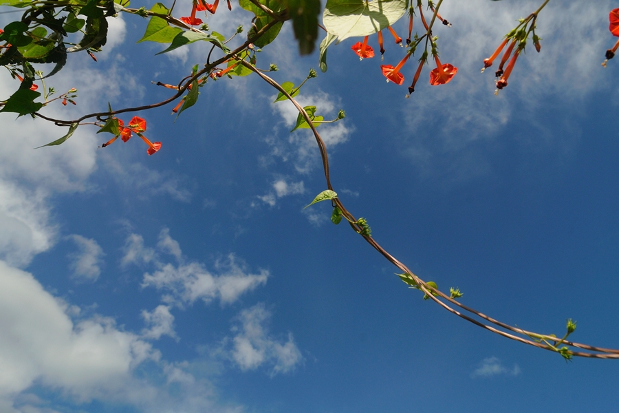 DSC_8062.JPG