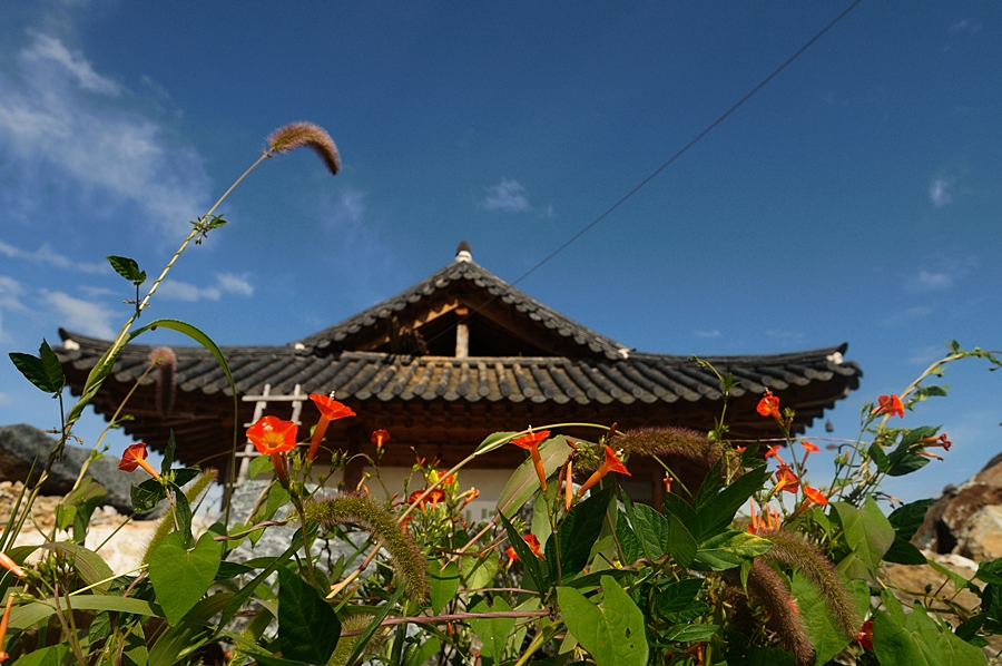 DSC_8067.JPG