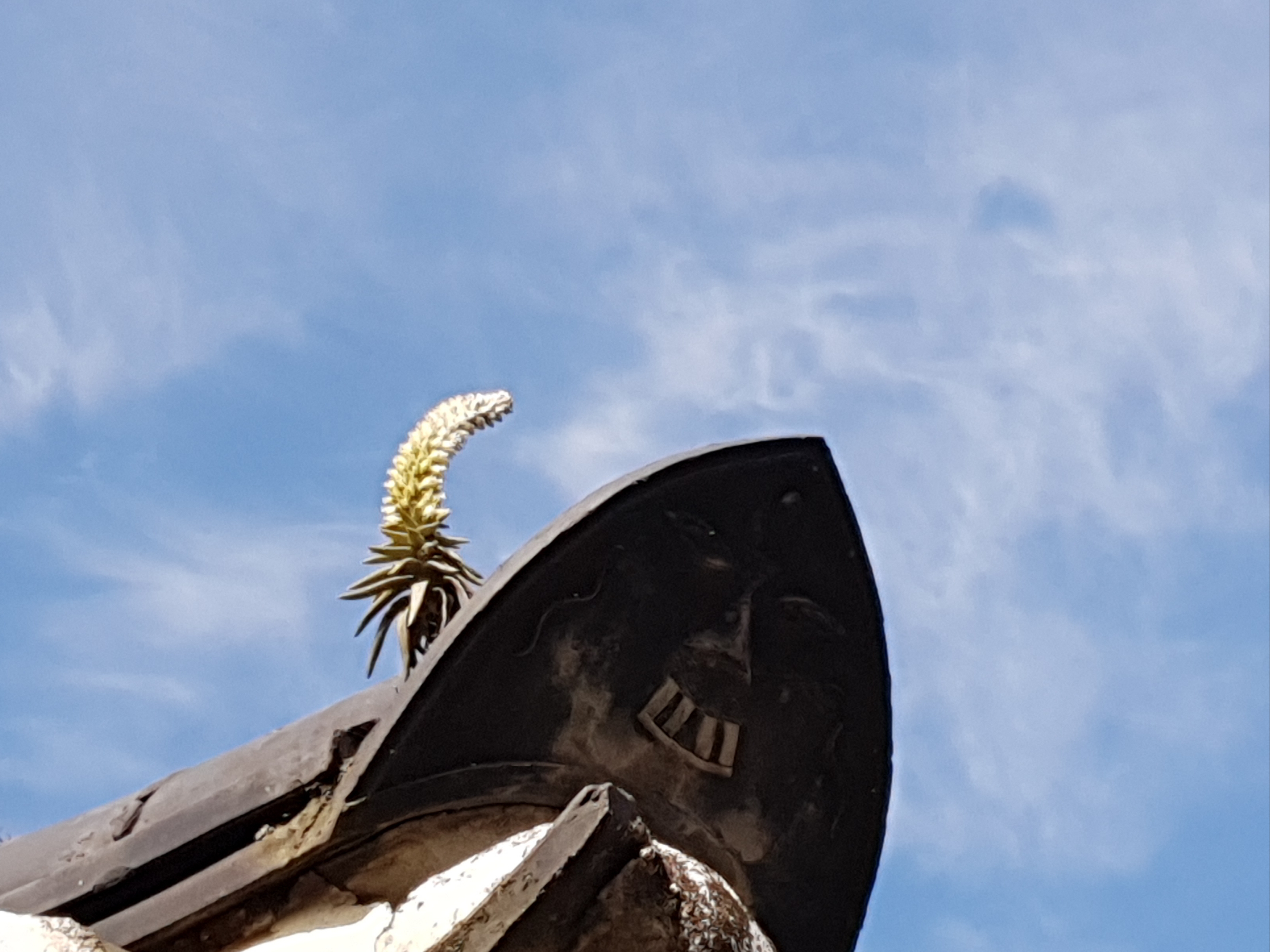 20191006_150441.jpg