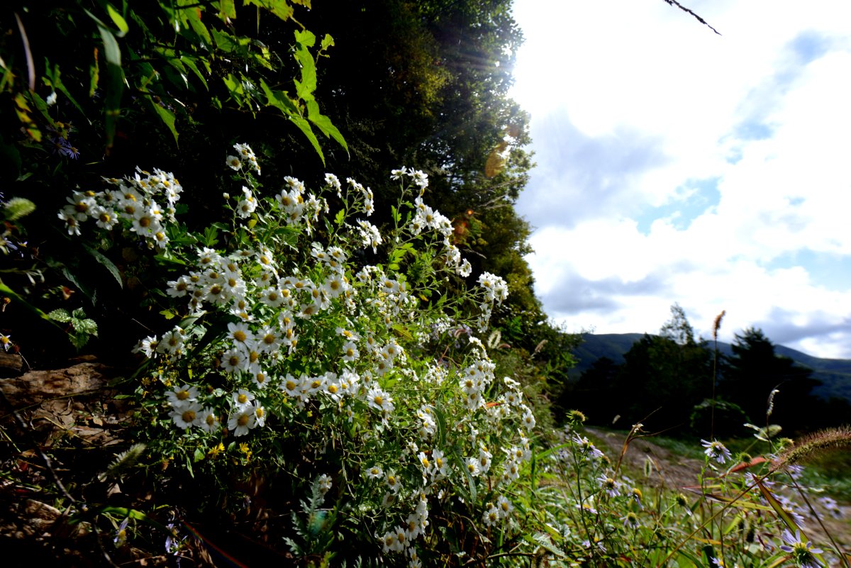DSC_8391-001.JPG