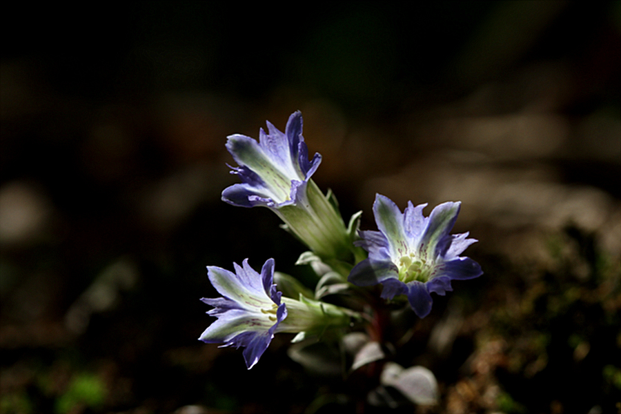 2010-05-10 074.jpg