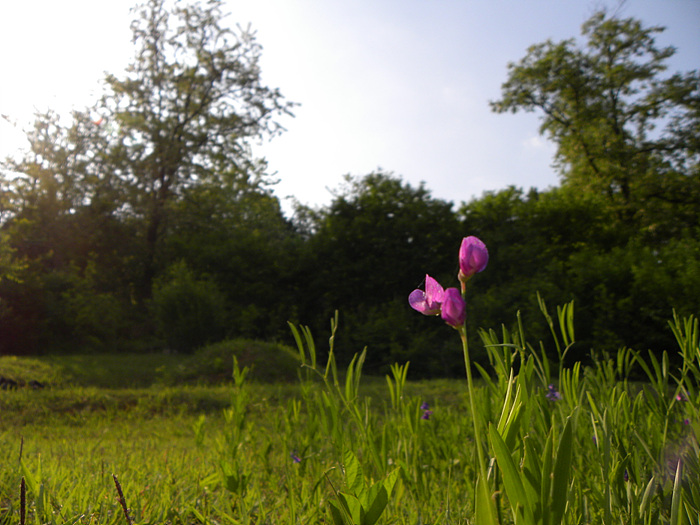 DSCN2542.jpg